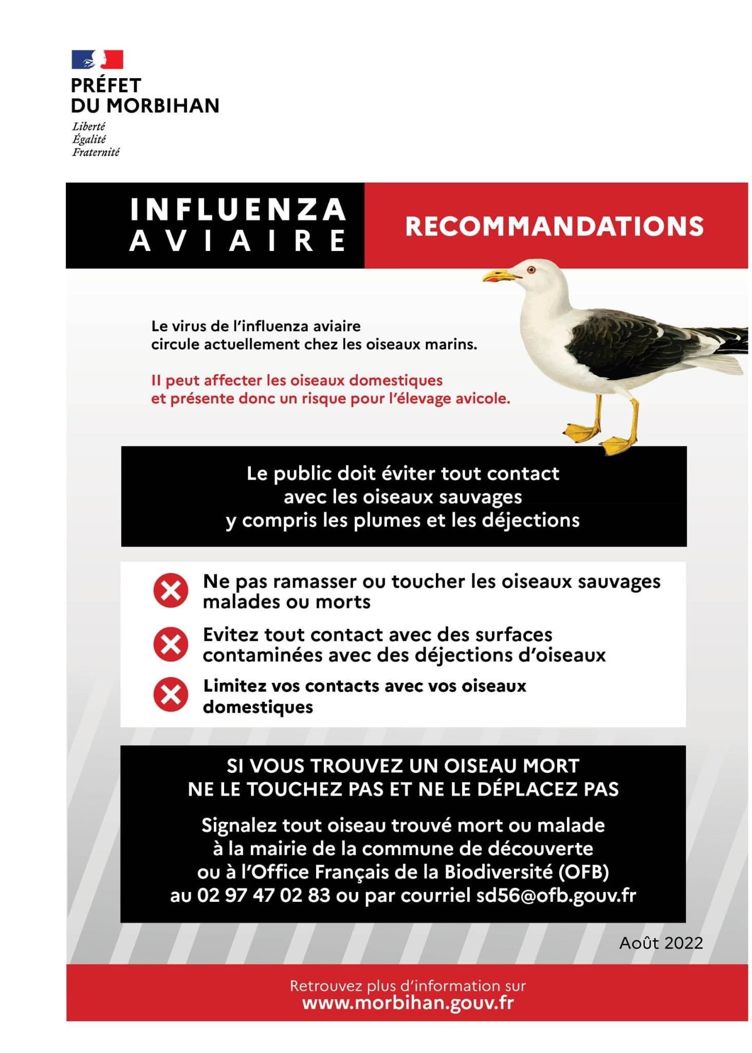 Vigilance  « Influenza aviaire »