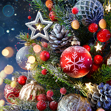 Joyeux Noël !