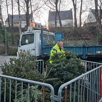 Points de collecte des sapins de Noël