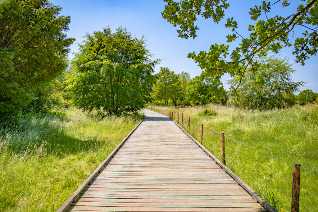 Parc urbain de Kerduchad, le Poumon Vert à Pontivy