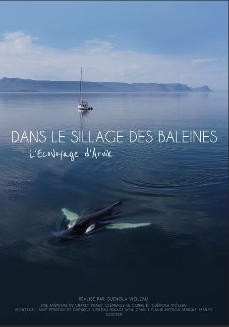 « Dans le sillage des baleines » Projection de film et rencontre avec l&rsquo;association Arvik Océan